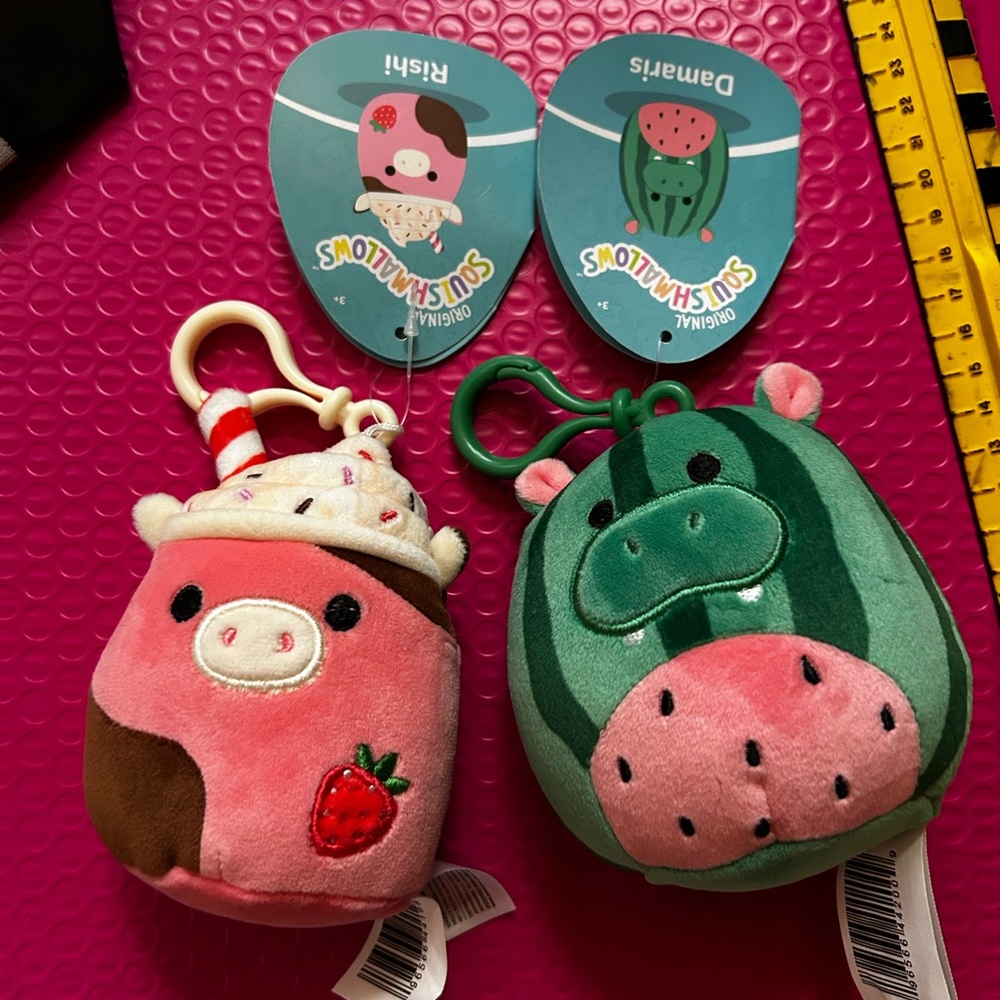 Squishmallows Pink and Green Keychain Set